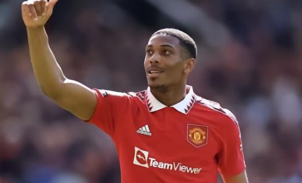 也深深植入 也深深植入